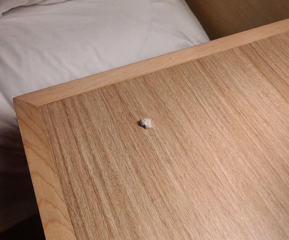 河畔市市中心凯悦广场酒店主图