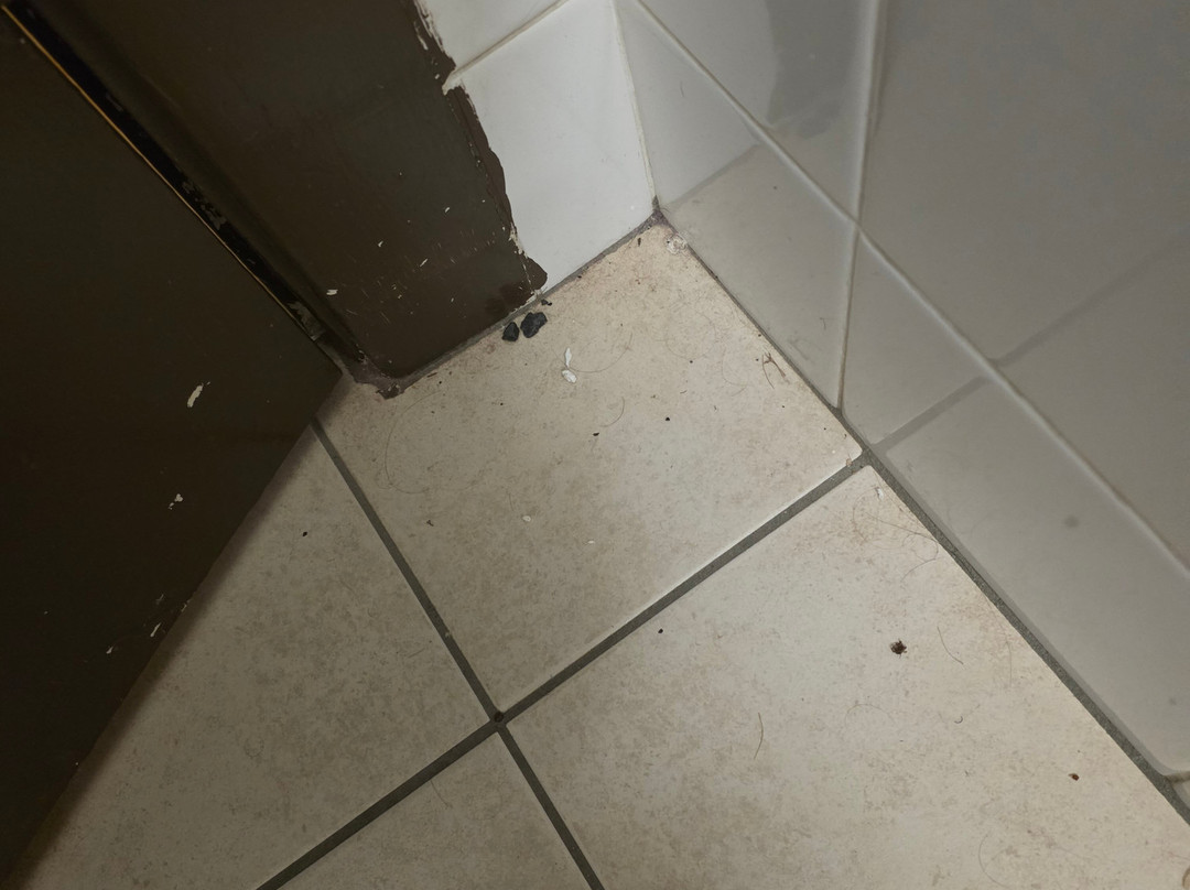 Anna Bella Motel主图