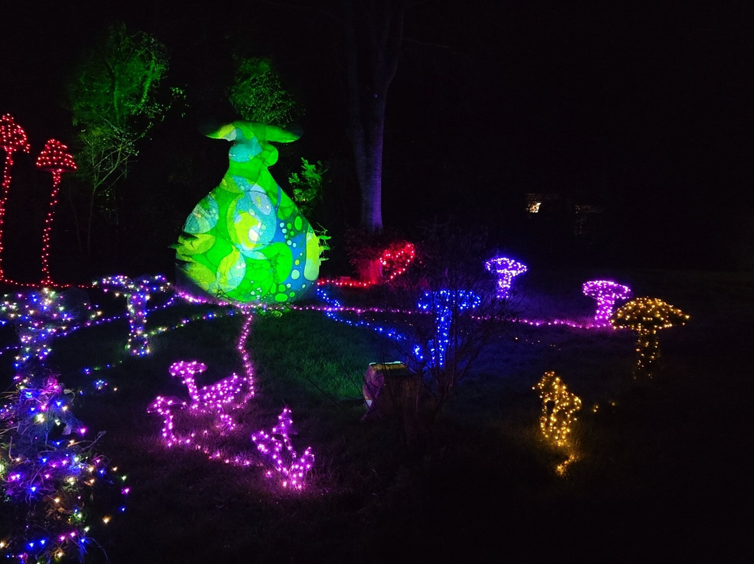 Cotswold Sculpture Park-Somerford Keynes必去景点