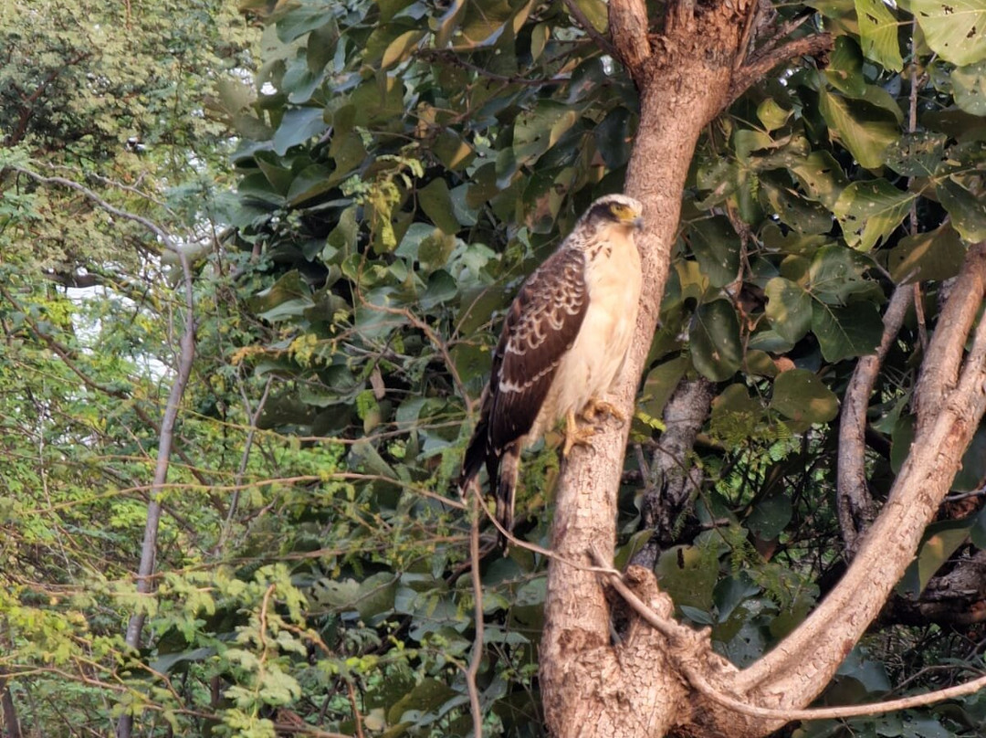 Ranthambore National Park-Ranthambore National Park必去景点