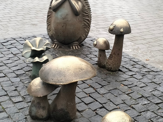 Hedgehog At Mushroom Glade-图拉必去景点