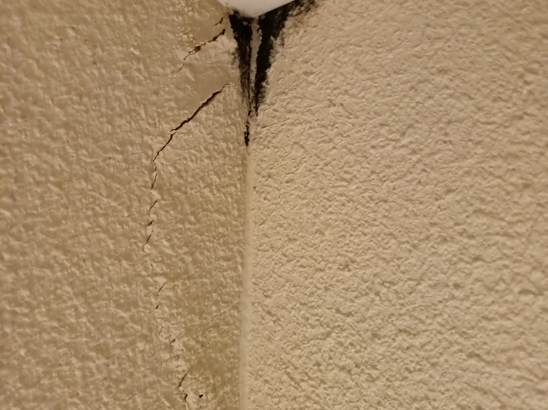 钟楼多勒酒店主图