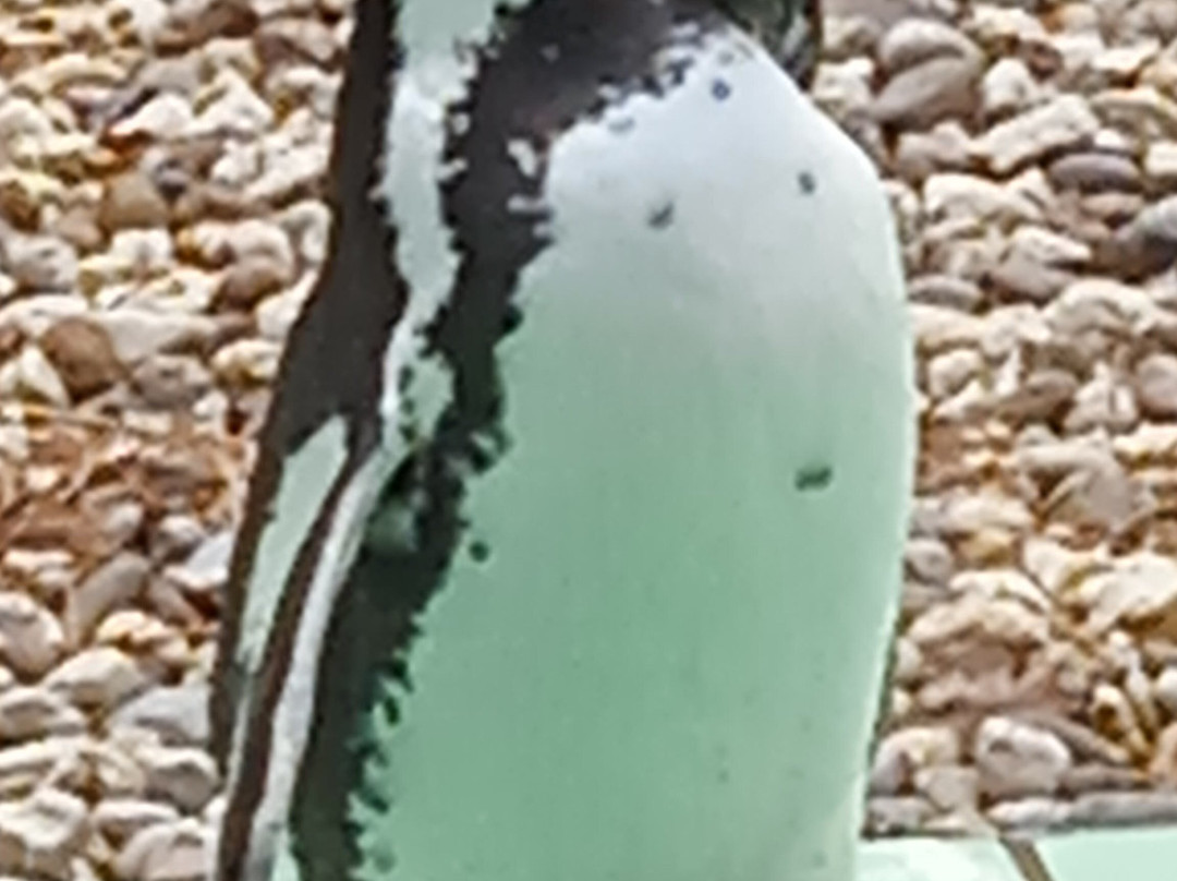 Jaderpark-Jaderberg必去景点