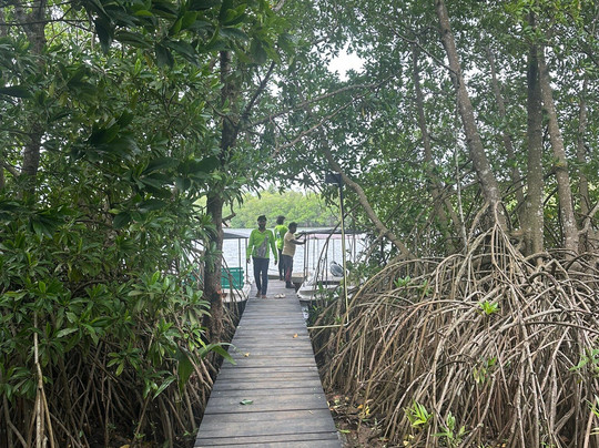 Boat Safari At Koggala Lake No 07-克拉必去景点