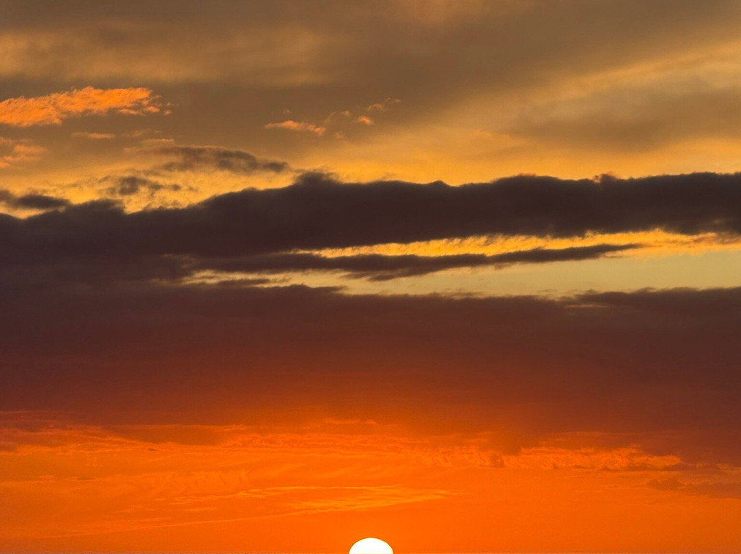 Panache Sailing-Playa Flamingo必去景点