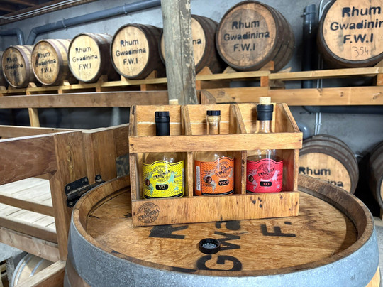 Rhum Gwadinina Distillery-Le Moule必去景点