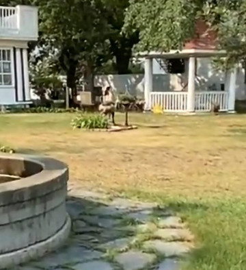 Wakamow Heights Bed and Breakfast主图