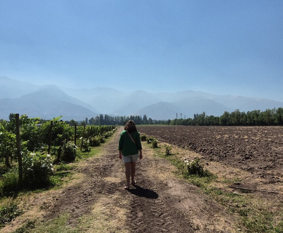 Vina Aquitania-圣地亚哥必去景点