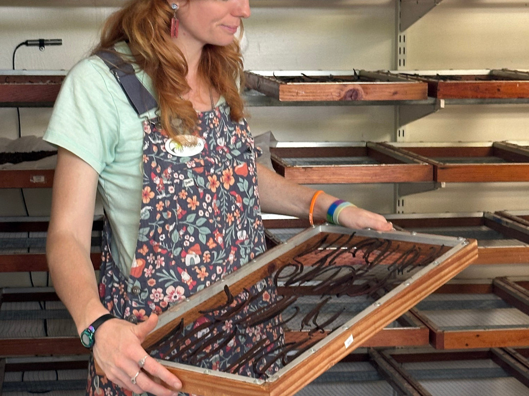 The Vanillerie-凯鲁瓦-柯纳必去景点