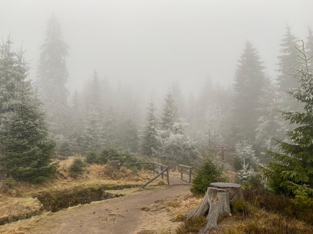 Oderteich-Sankt Andreasberg必去景点