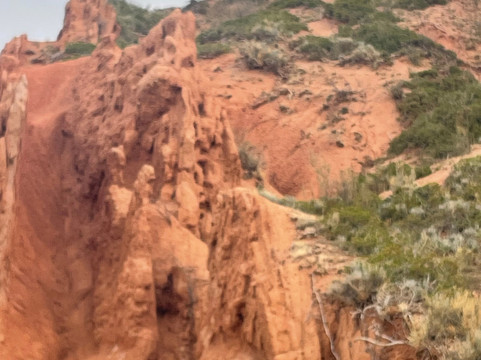 Irene Plus Travel LLC-塔什干必去景点