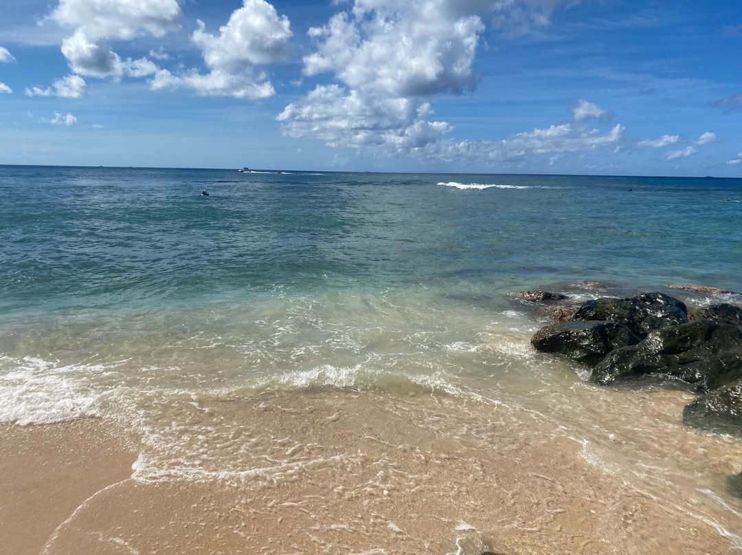 Folkestone Marine Park & Visitor Centre-Holetown必去景点