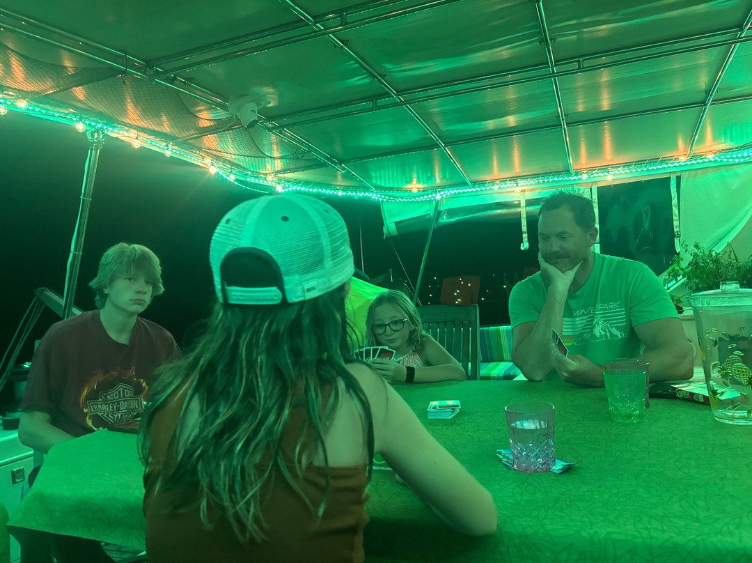 Flying Ginny Catamaran Charter-埃尔波韦尼尔必去景点