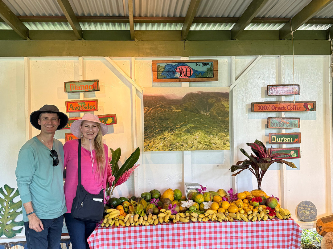 ONO Organic Farms-哈纳必去景点