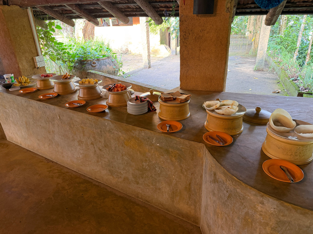 Rainforest Edge主图