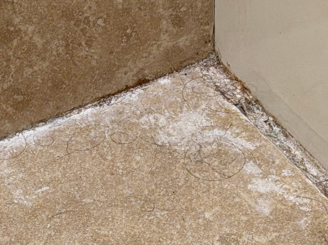 Staybridge Suites Tallahassee I-10 East, an IHG hotel主图