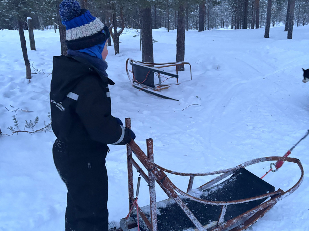 Ilonka Farm & Cafe-伊瓦洛必去景点