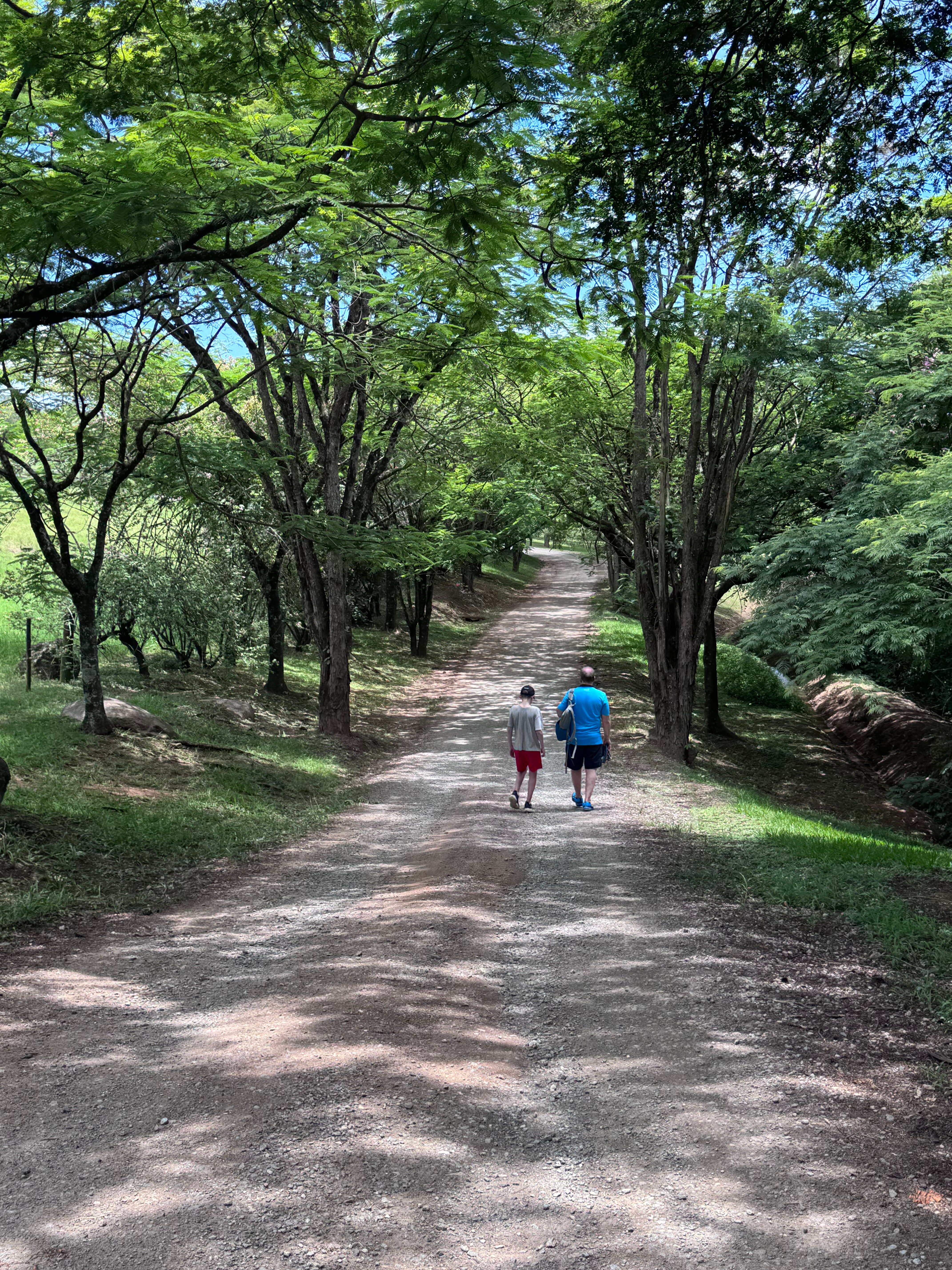 Fazenda Capoava-官方