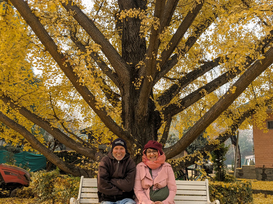 River Songs Tours and Travels-斯利那加必去景点