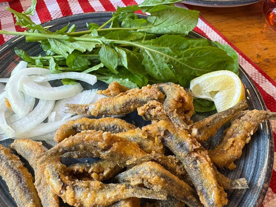 Princes' Islands-伊斯坦布尔必去景点