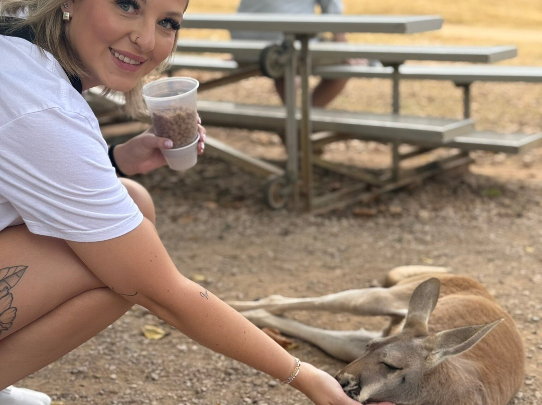 Kentucky Down Under Adventure Zoo-Horse Cave必去景点