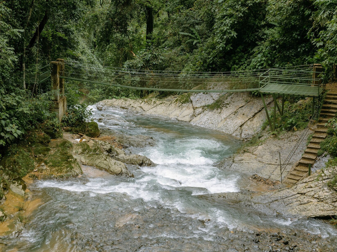 Mulguri Tours-哥斯达黎加安东尼奥国家公园必去景点