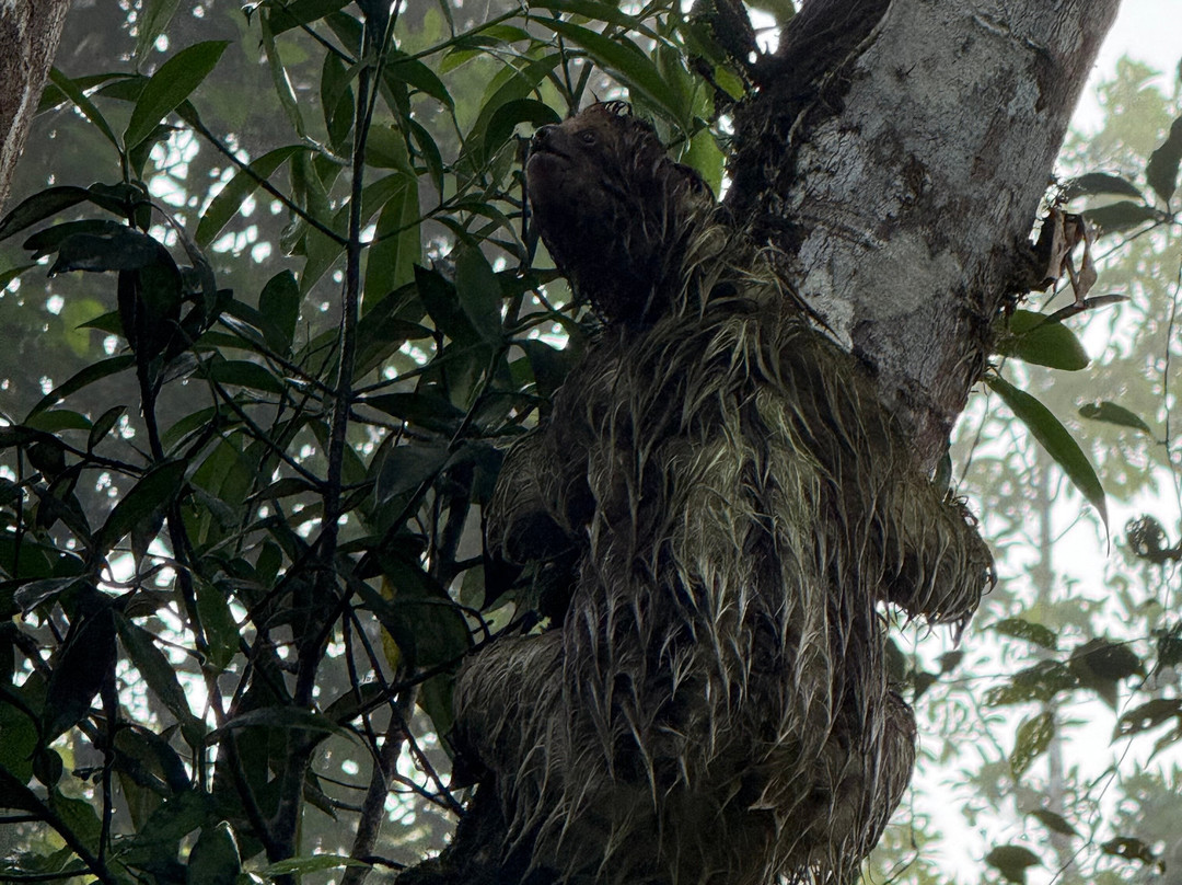 Pura Vida Concierge Services-塔马林多必去景点