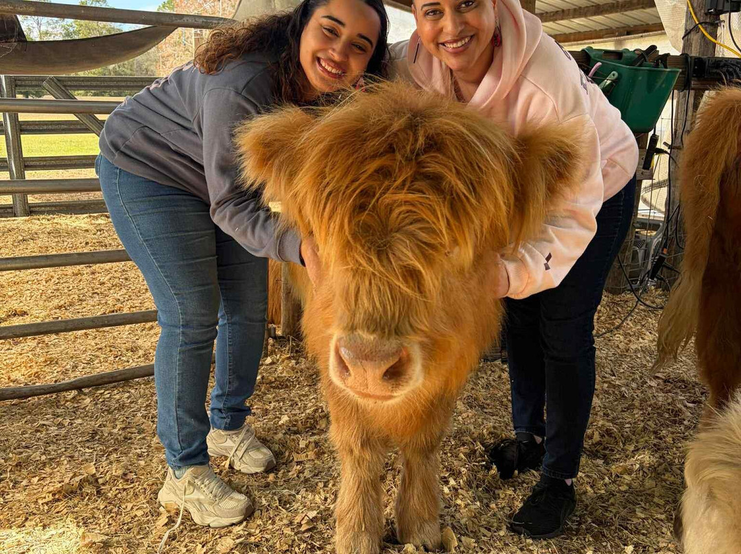 Rooterville Animal Sanctuary-Melrose必去景点