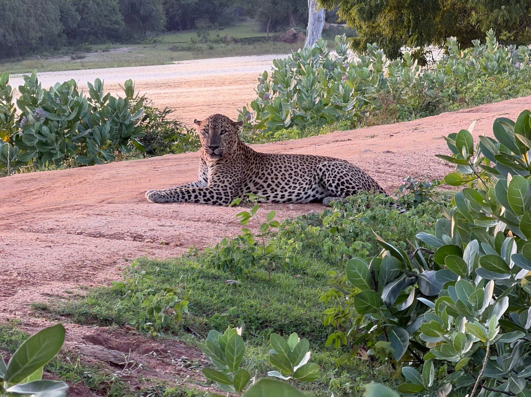 Lav Lanka Travels-卡卢特勒必去景点