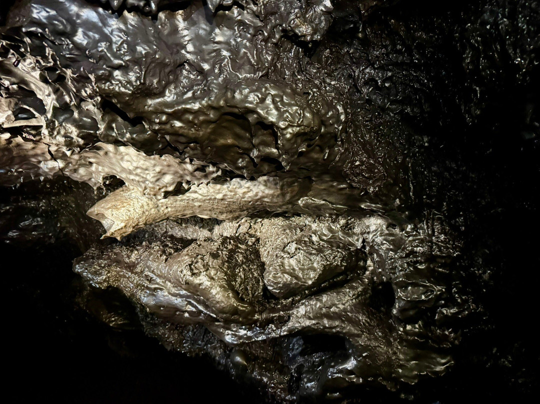 Envergure Réunion-埃勒堡必去景点