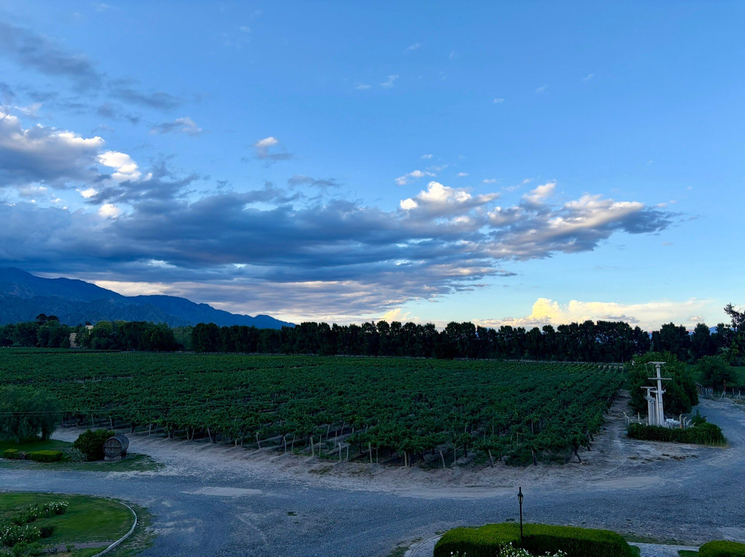 Bodega El Esteco-卡法亚特必去景点