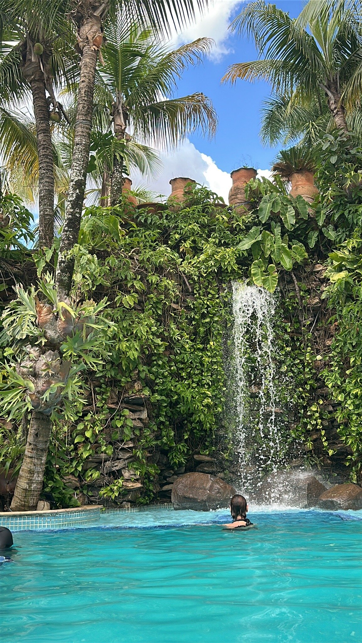 Hotel Beira Rio Palace-官方