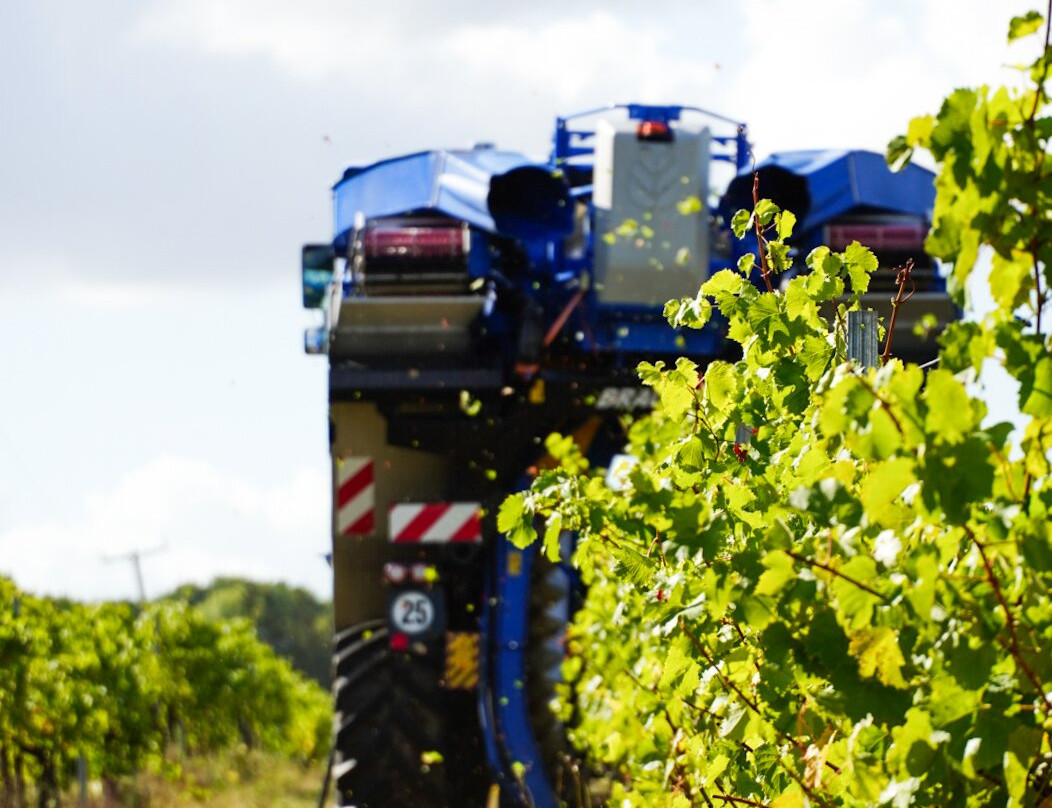 New Hall Wine Estate-Purleigh必去景点