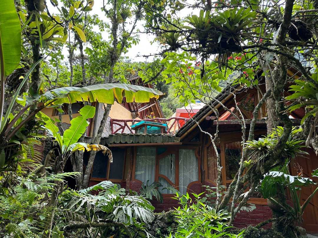 Hosteria Finca Chamanapamba主图