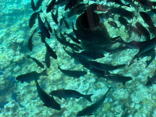 Sealand Adventure Tours-乔治城必去景点