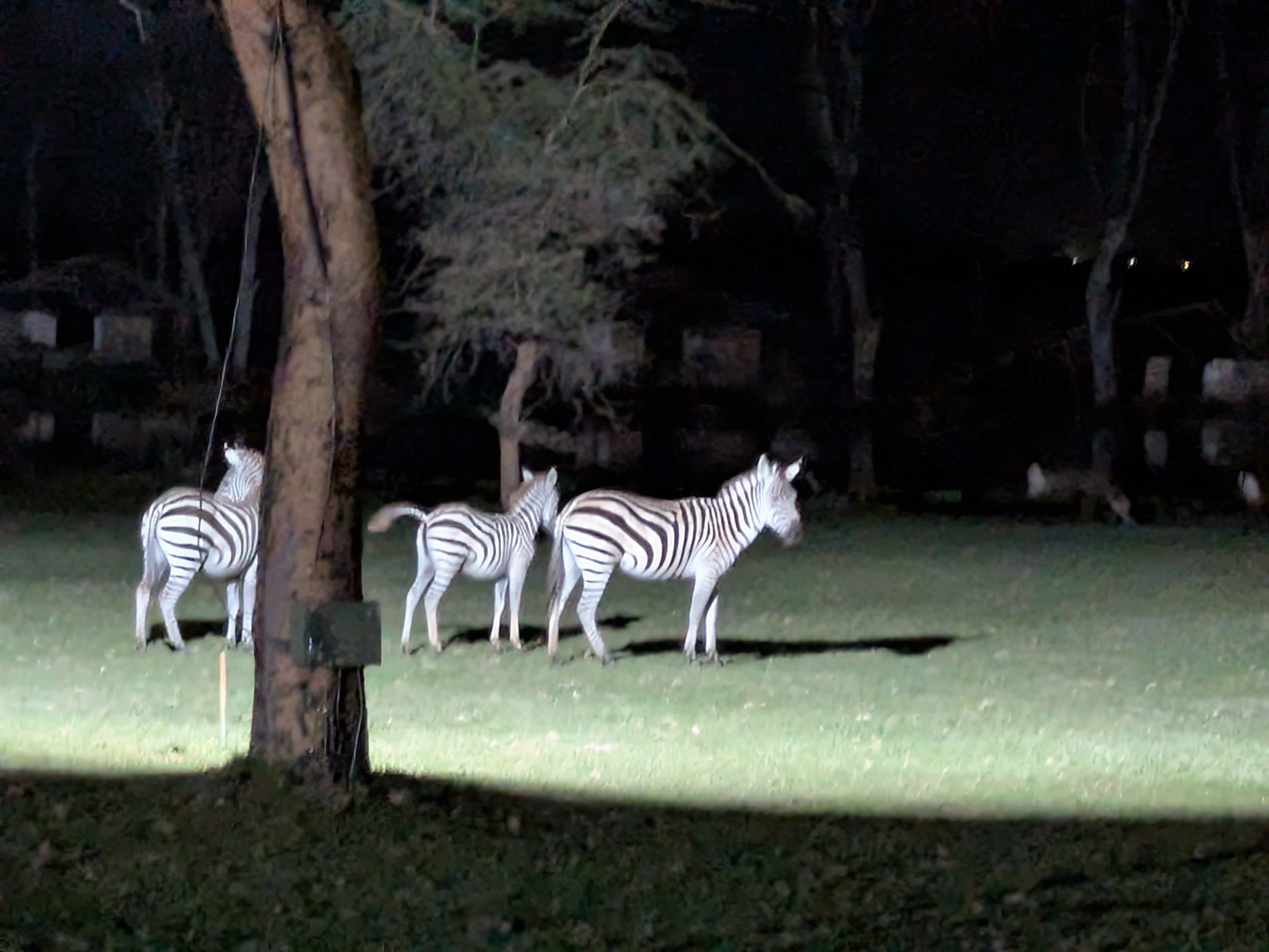 纳瓦沙湖乡村俱乐部-官方