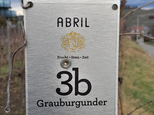 Köpfers Steinbuck主图