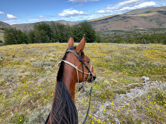 Galope Austral-Torres del Paine必去景点