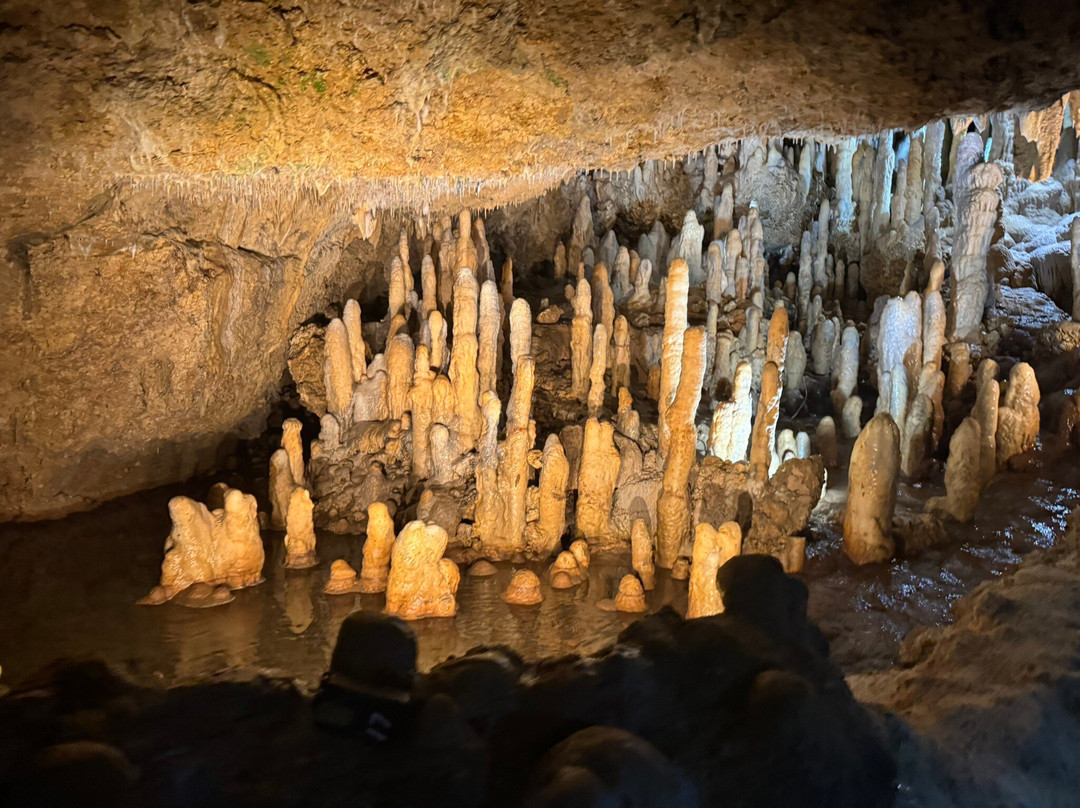 Harrison's Cave Eco-Adventure Park-Saint Thomas Parish必去景点