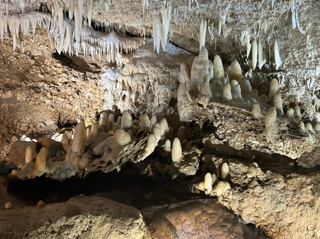 Harrison's Cave Eco-Adventure Park-Saint Thomas Parish必去景点