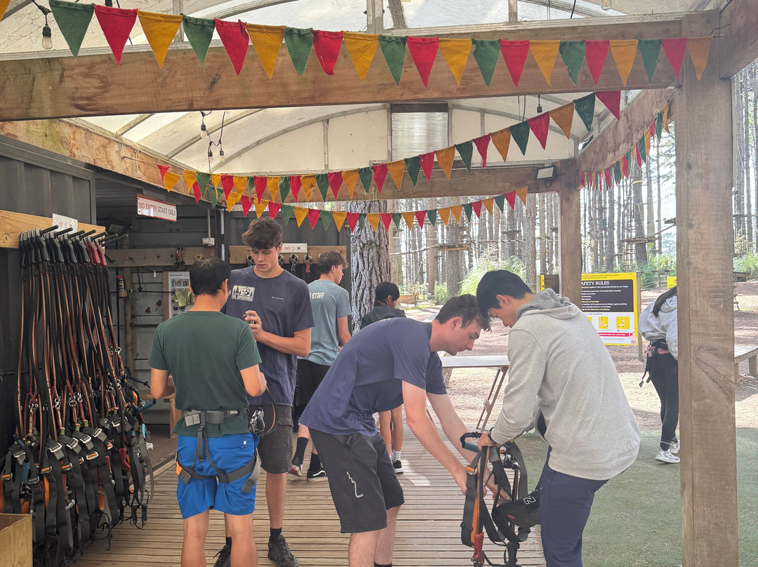 Tree Adventures-伍德山必去景点