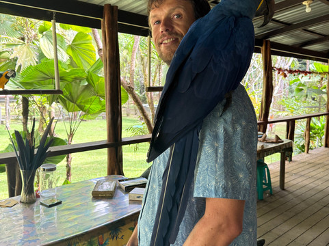 Ave Azul de la Osa-Carate必去景点