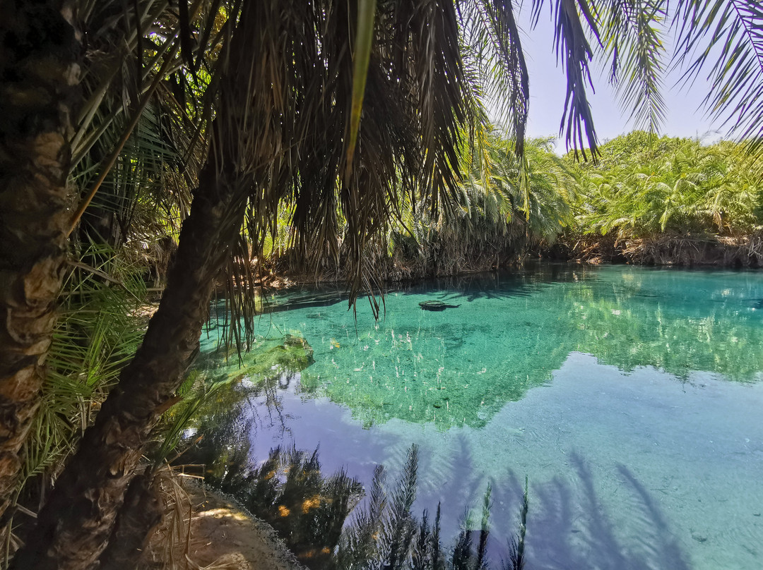 Bora Trekking Tours & Safaris-莫西必去景点