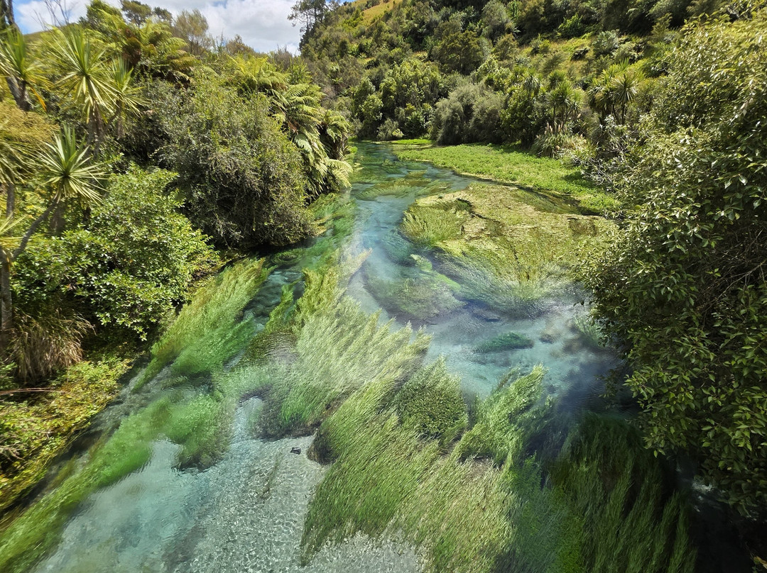 Blue Spring-普塔鲁鲁必去景点