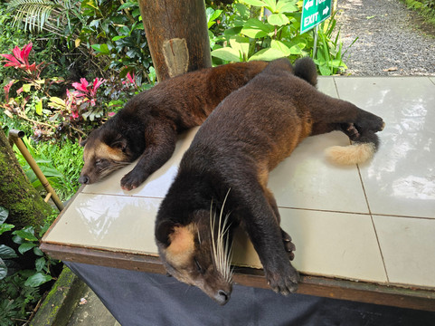 Bali Good Vacation-长谷必去景点