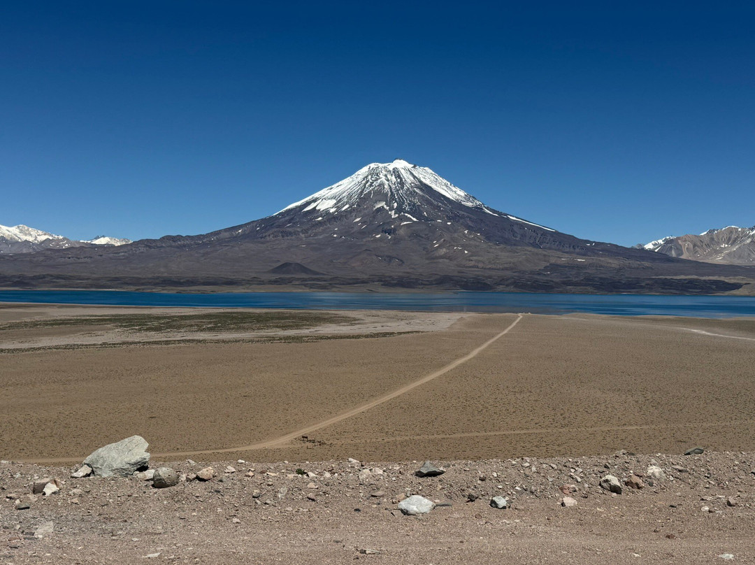 Laguna del Diamante-San Carlos必去景点