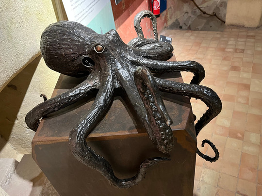 Fort Balaguier-滨海拉塞纳必去景点