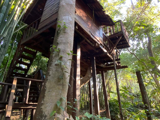 拉比昂帕萨克树屋度假村主图