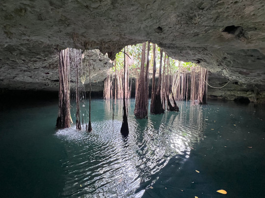 Cenote La Casa De Los Pájaros-Tizimin必去景点