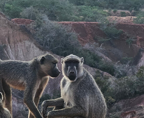 Nero Guida Turistica-瓦塔木必去景点